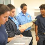 tn_04_03_02_01_csi_2