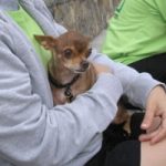 tn_doggy_1