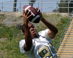 South County prep football teams earn a passing grade