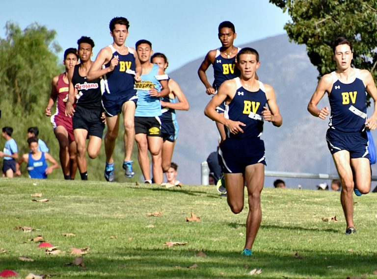 Bonita Vista, Chula Vista, Olympian, Southwest capture league banners