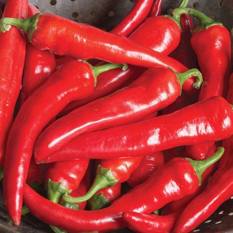 Hottest pepper varieties to try this year