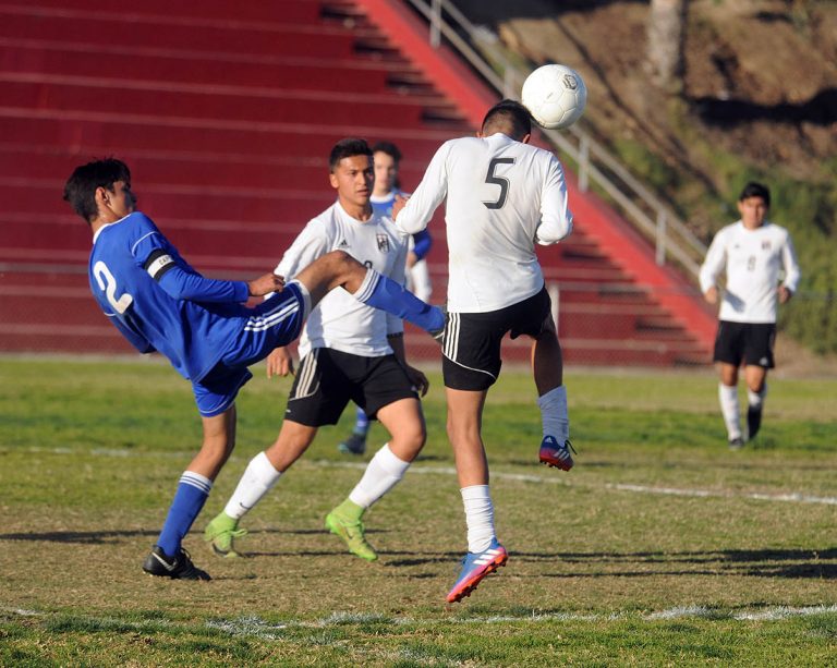 Titans settle for pair of draws but still top Mesa League standings