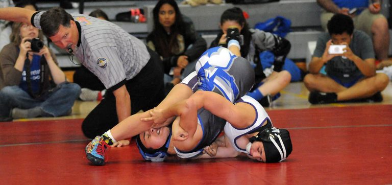 Metro nets two place-finishers at state girls wrestling finals