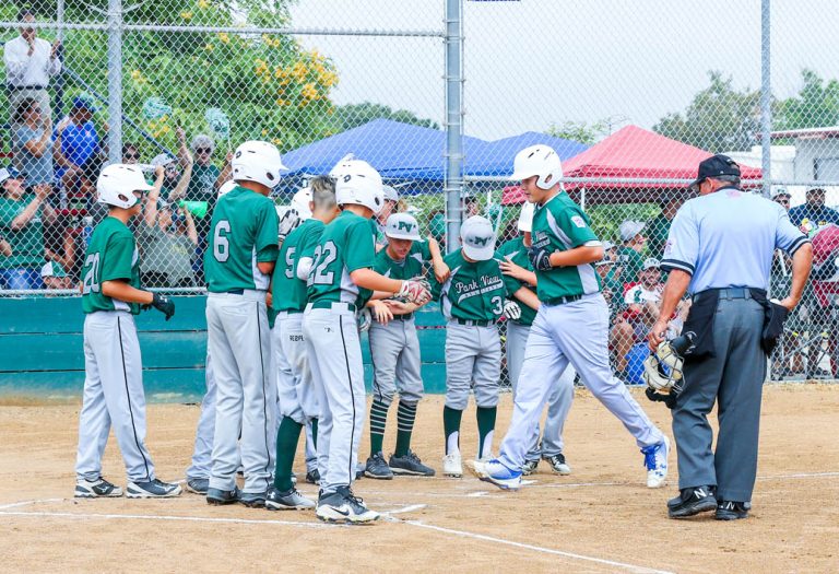 District 42 all-stars advance to Section 7 Little League finals