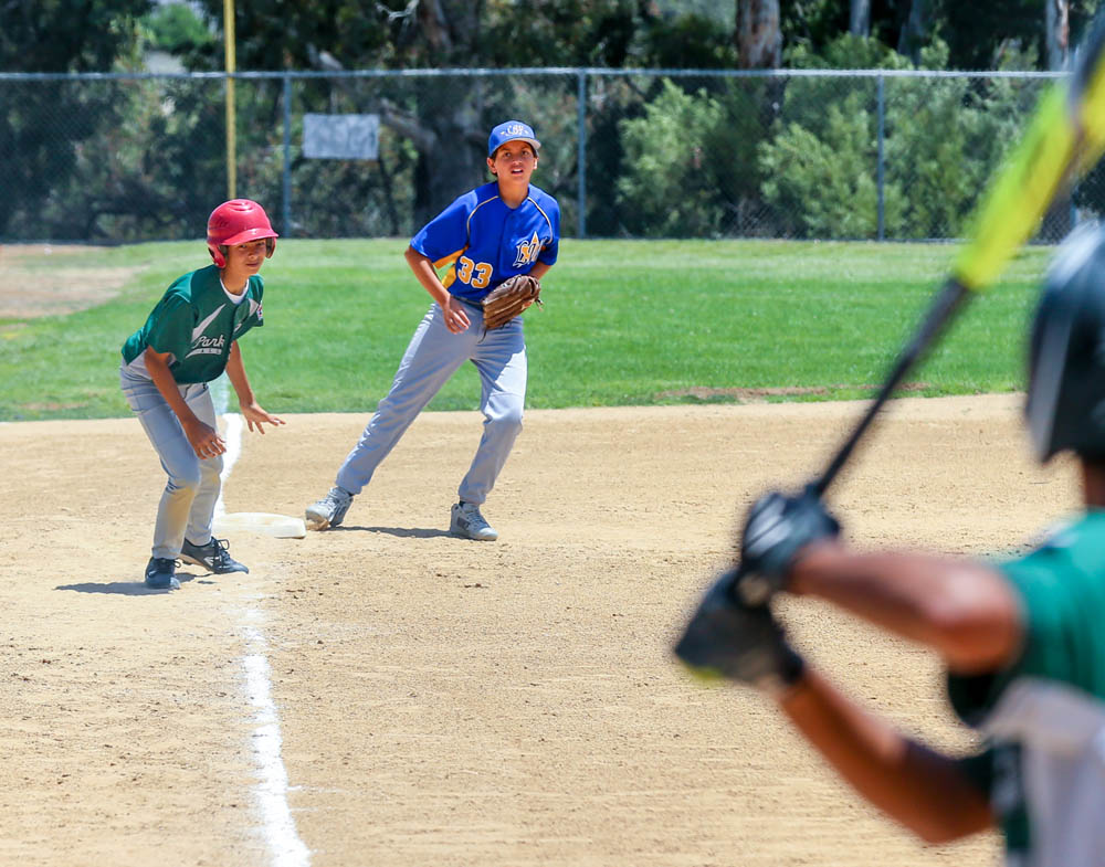 Park View Little League returns to championship form The Star News