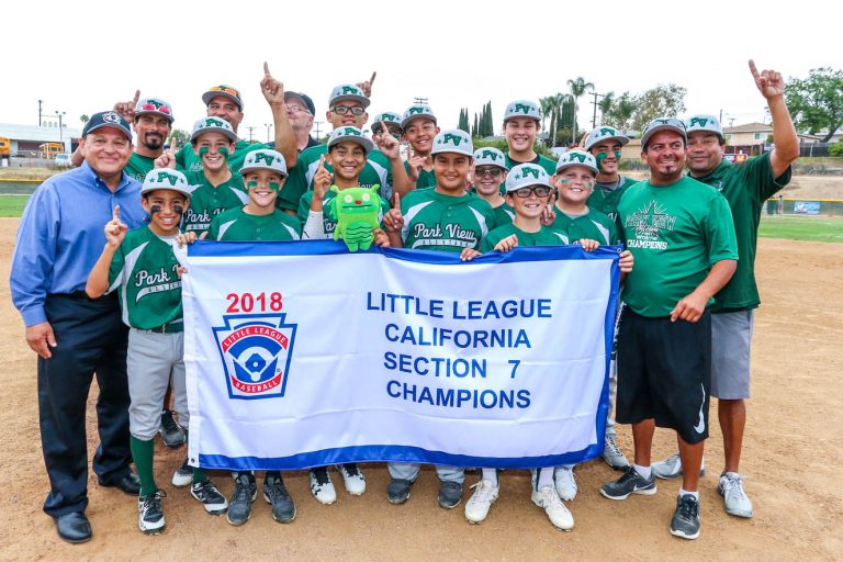 Park View 12U all-stars remain on road to Williamsport