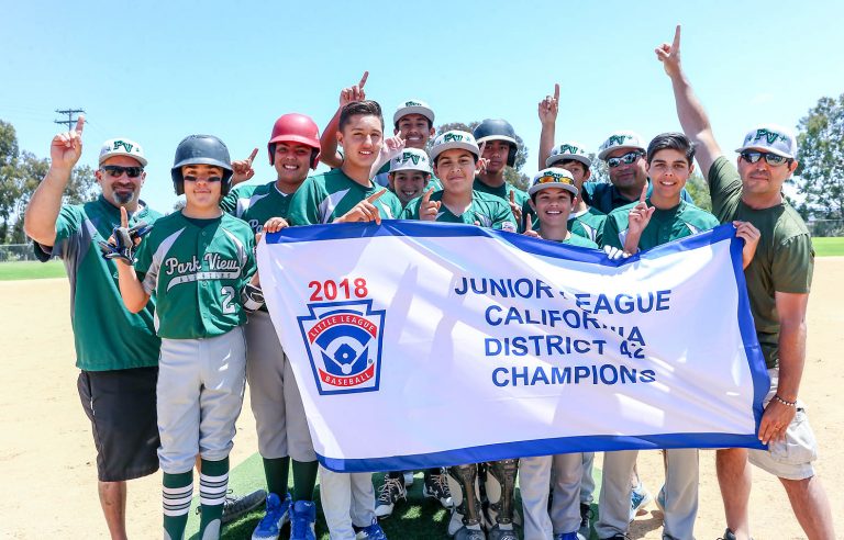 Park View Little League returns to championship form