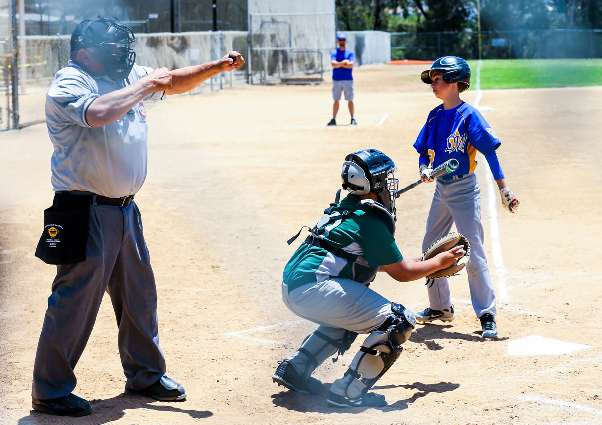 Park View Little League returns to championship form The Star News