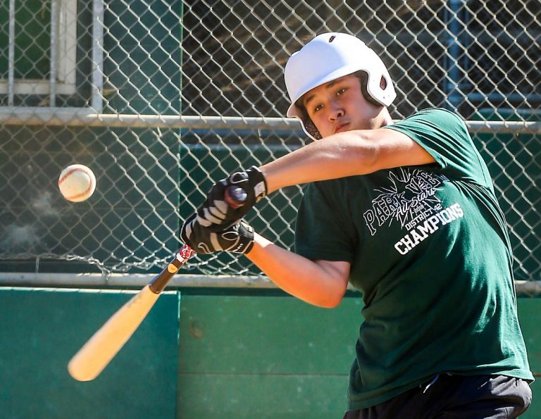 Park View Green Monsters have to call 2018 season a hit