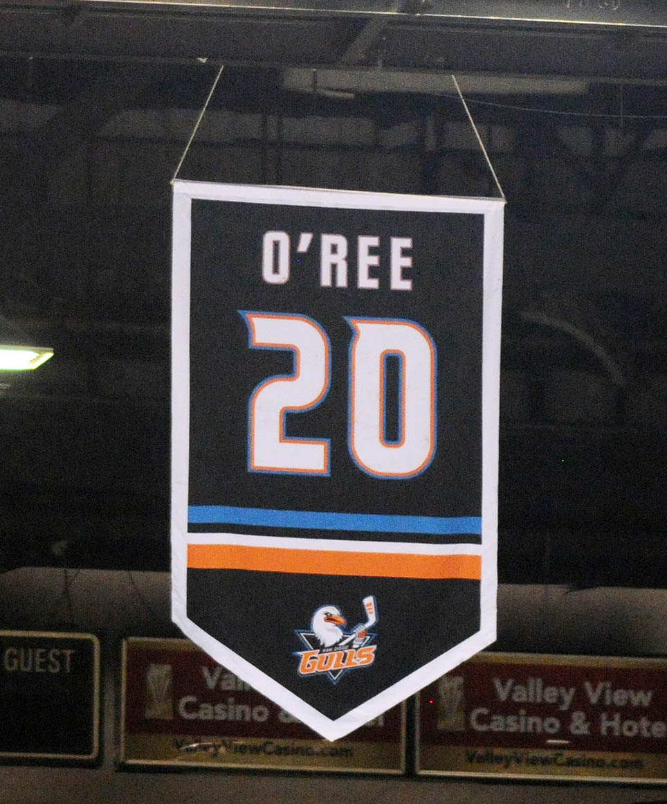 Statement from the San Diego Gulls