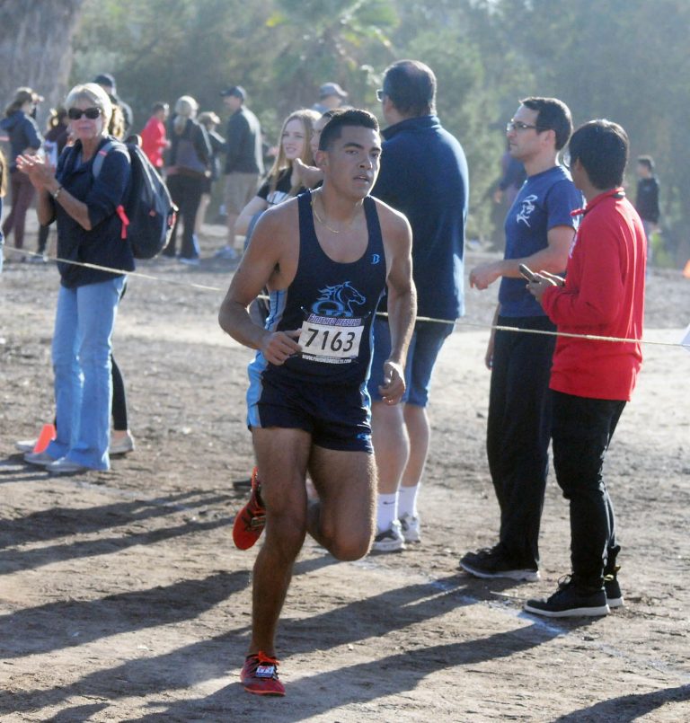 South County harriers test barriers at state cross country finals