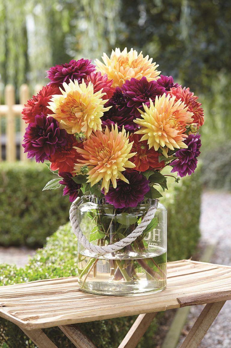 From garden to bouquet – growing your own cut flowers