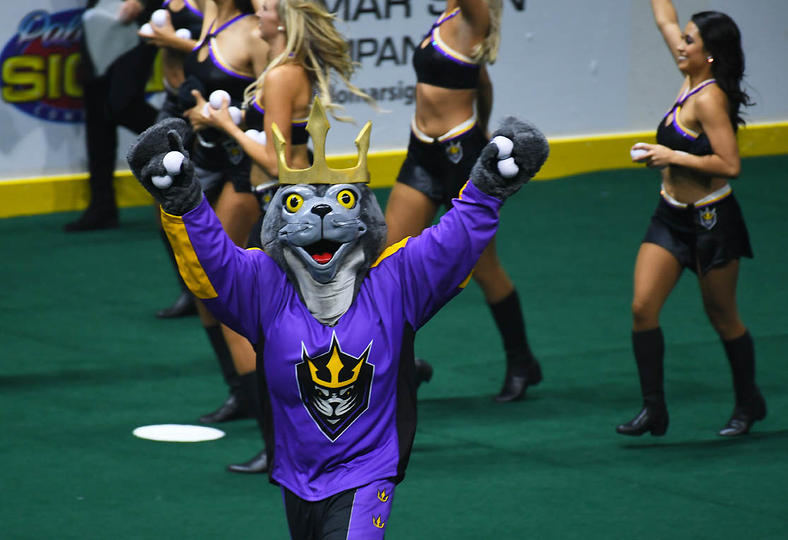 Seals should help grow game of lacrosse at local youth level