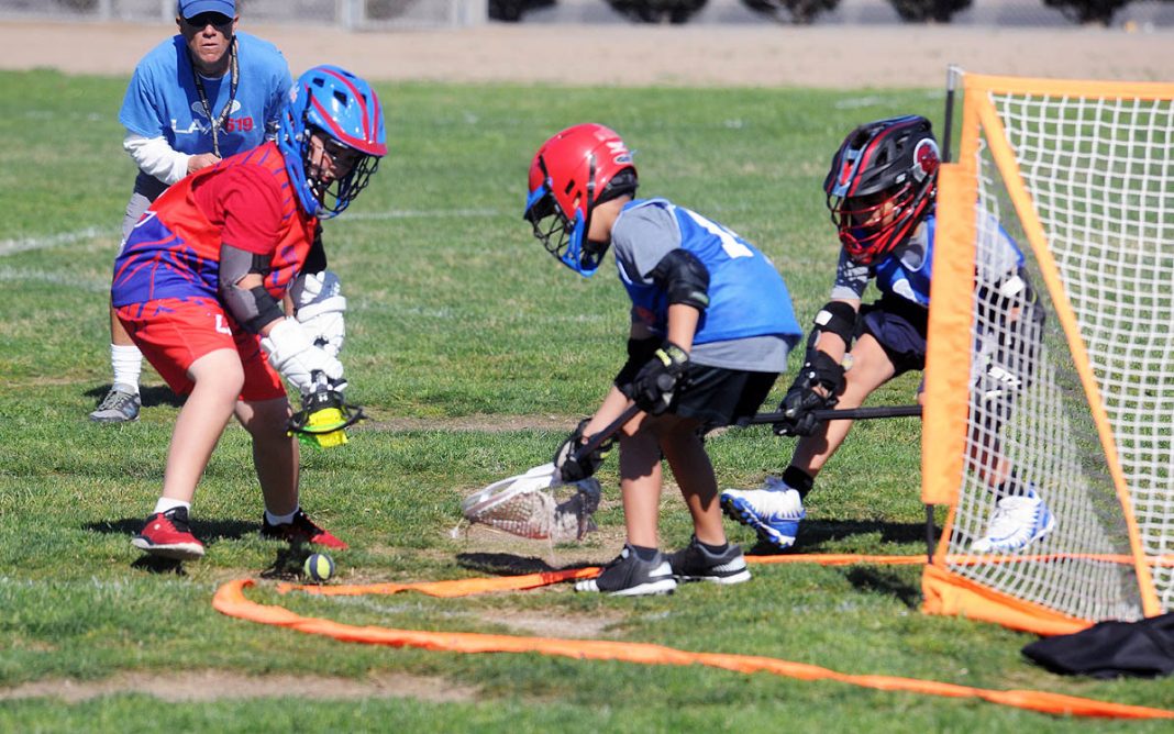 Elementary school lacrosse league faces off inaugural finals The Star