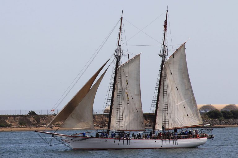 City’s seal set for sea side sail