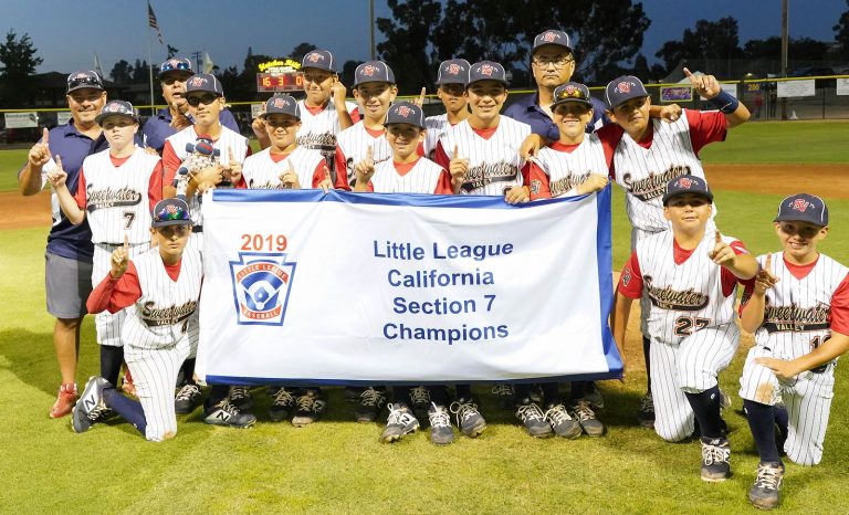 District 42 champs make it a clean sweep at Section 7 finals
