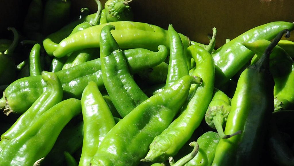 Sprouts Farmers Market set to celebrate Hatch chile roasting season