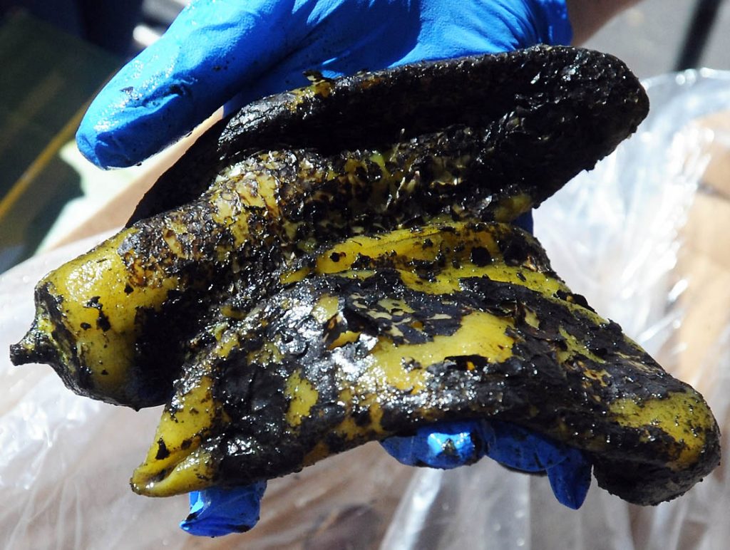 Sprouts Farmers Market set to celebrate Hatch chile roasting season