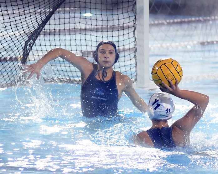 Making waves 201920 girls water polo allleague team The Star News