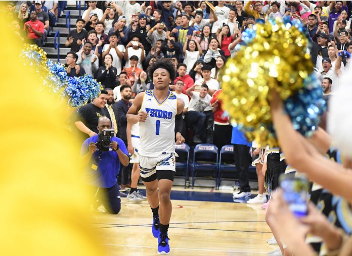 web.Mikey_intro_6049