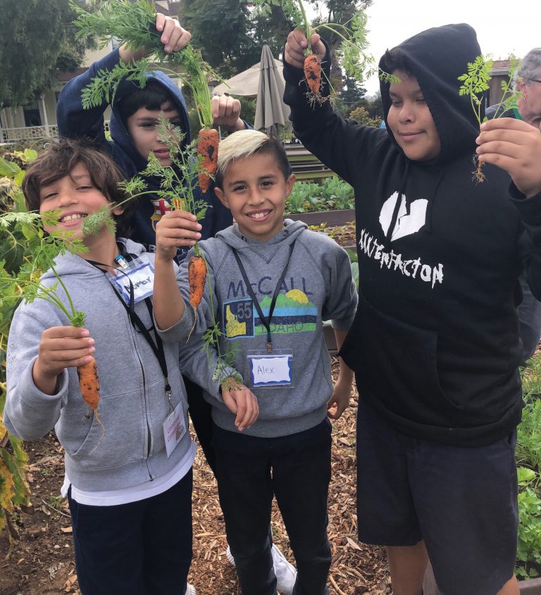 Fresh from the garden to local families