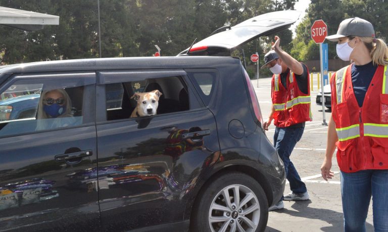Cars ‘paws’ for pet food at Southwestern College
