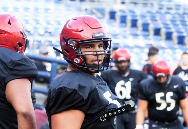 College fall sports season postponed