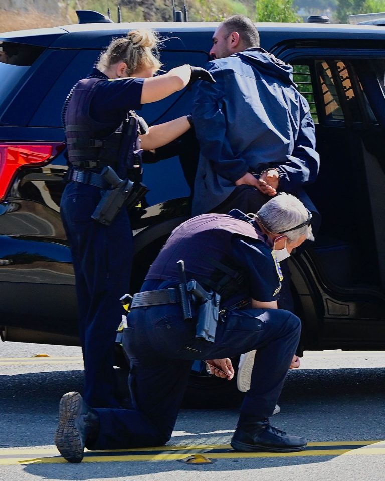 Serial fire starter  arrested