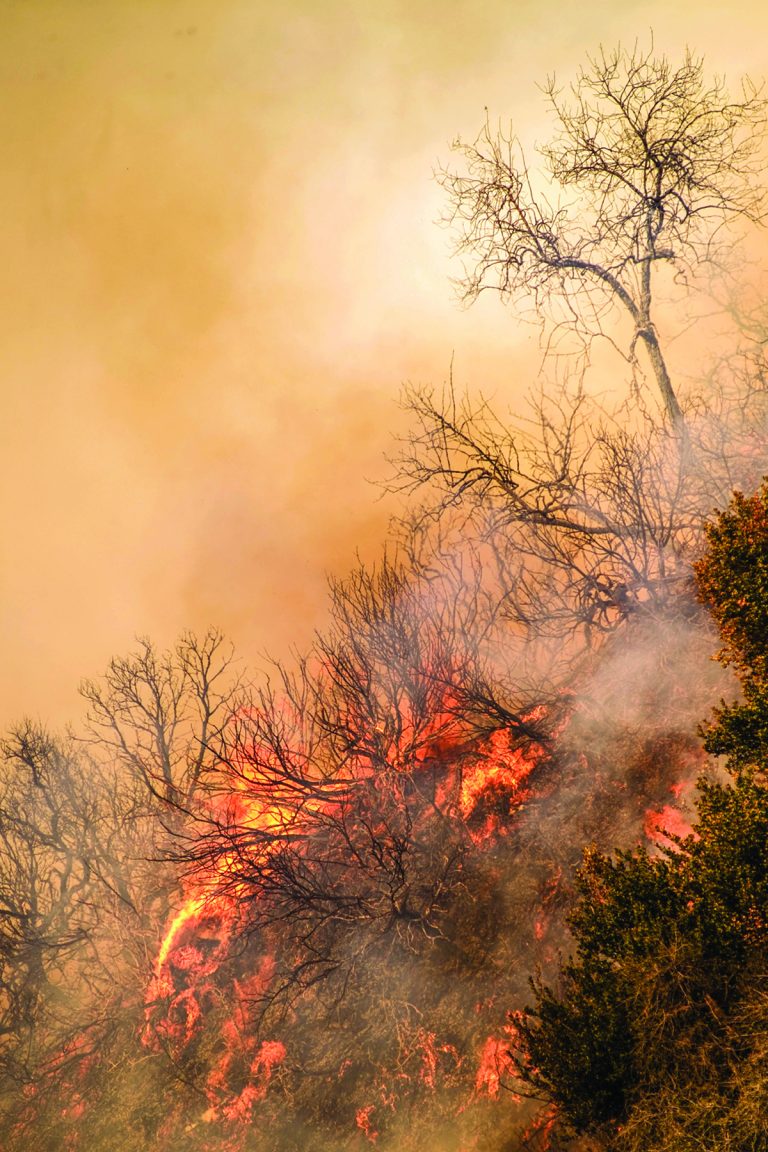 American Red Cross: prepare for fires before they happen American Red Cross: prepare for fires before they happen
