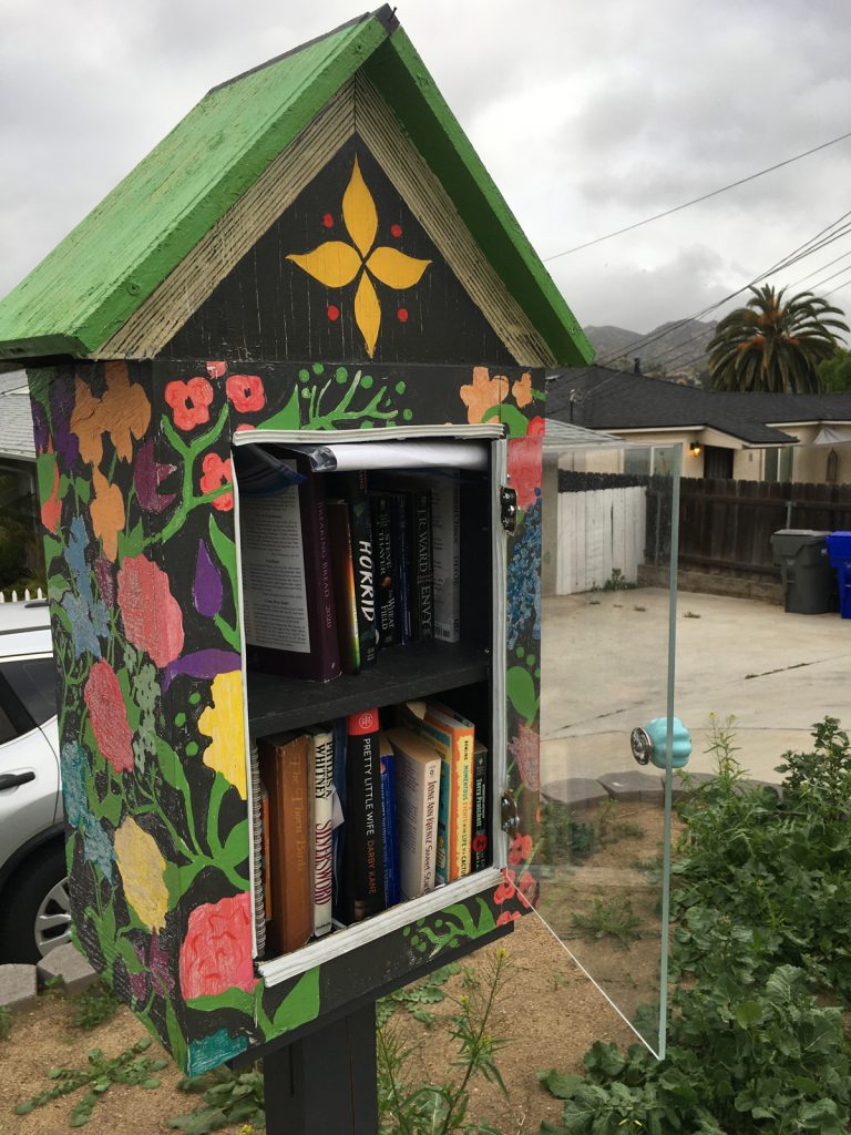 More Little Libraries county outreach planned