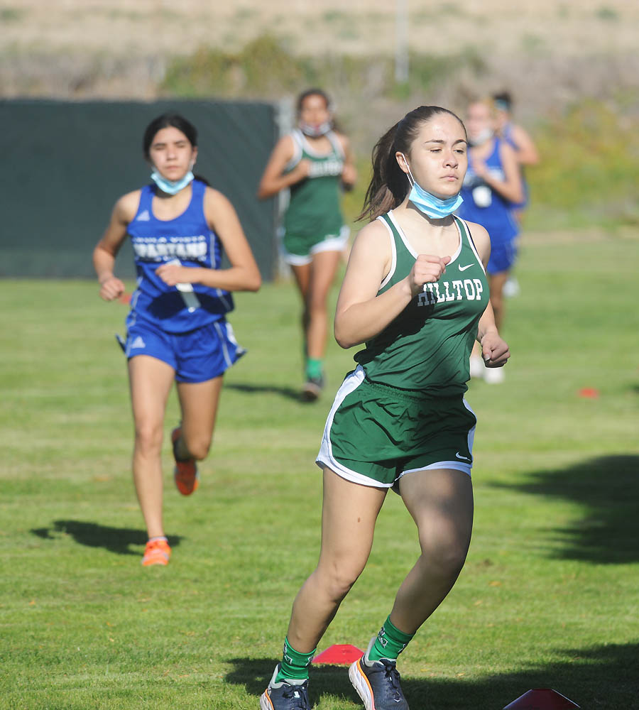 Melissa Mekitarian - San Diego State University - Chula Vista
