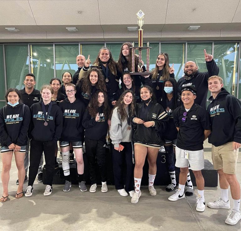 Metro wrestling finals set stage for CIF competitions