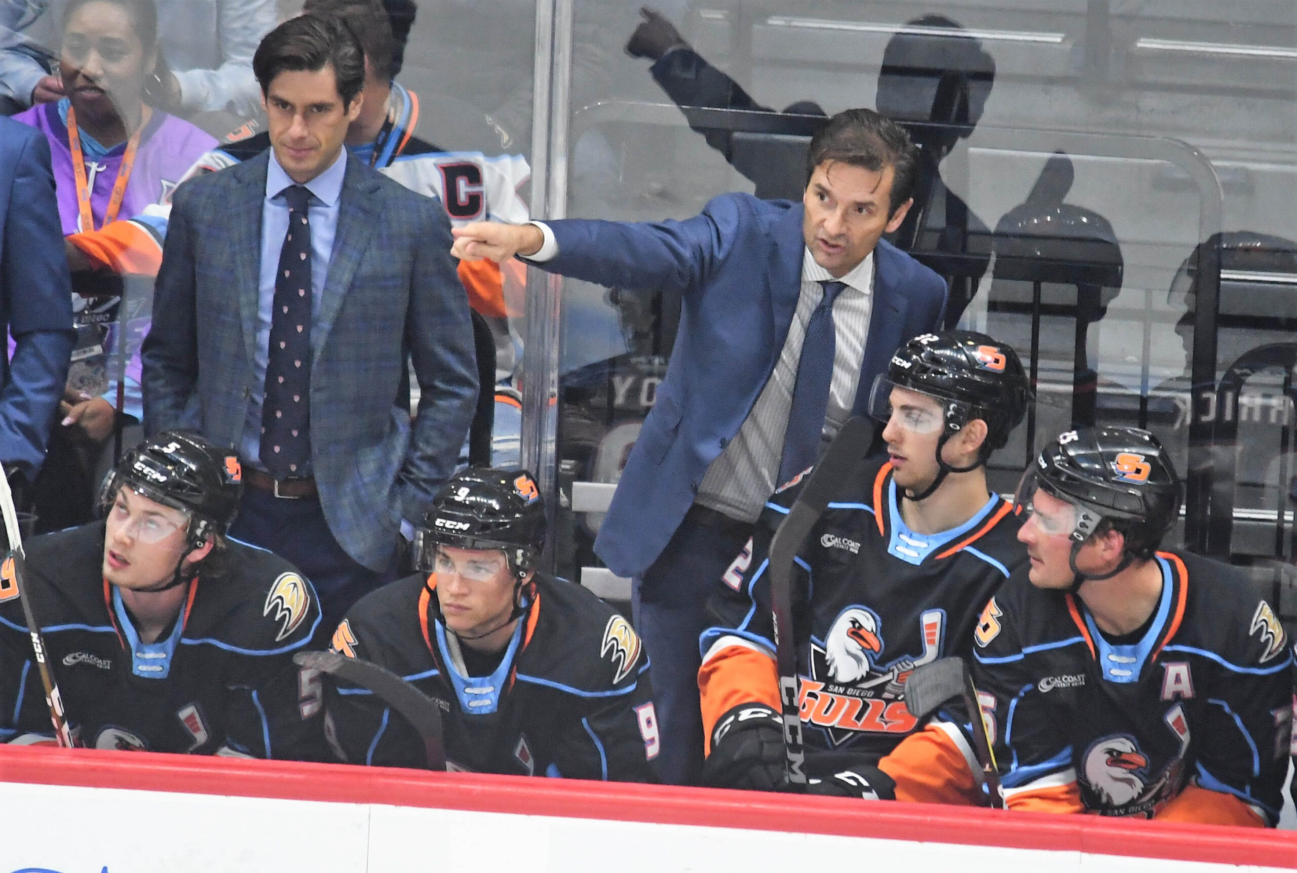 Anaheim Ducks - Our three legends, in the Honda Center rafters forever.