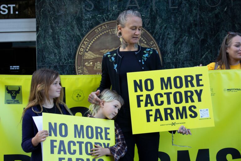Direct Action Everywhere goes local
