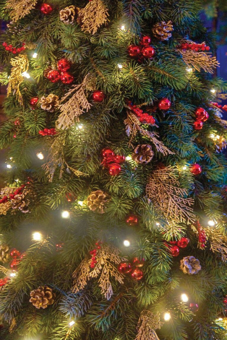 Santa Claus is back…  and so is the Grinch