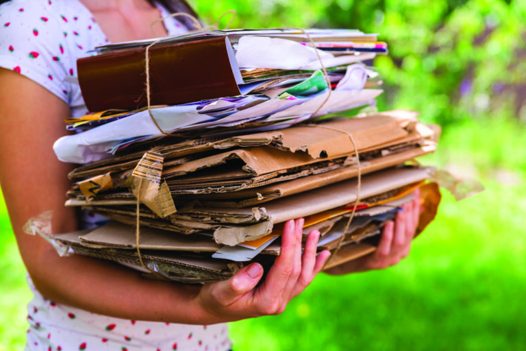 Nominations open for Sustainability Champions