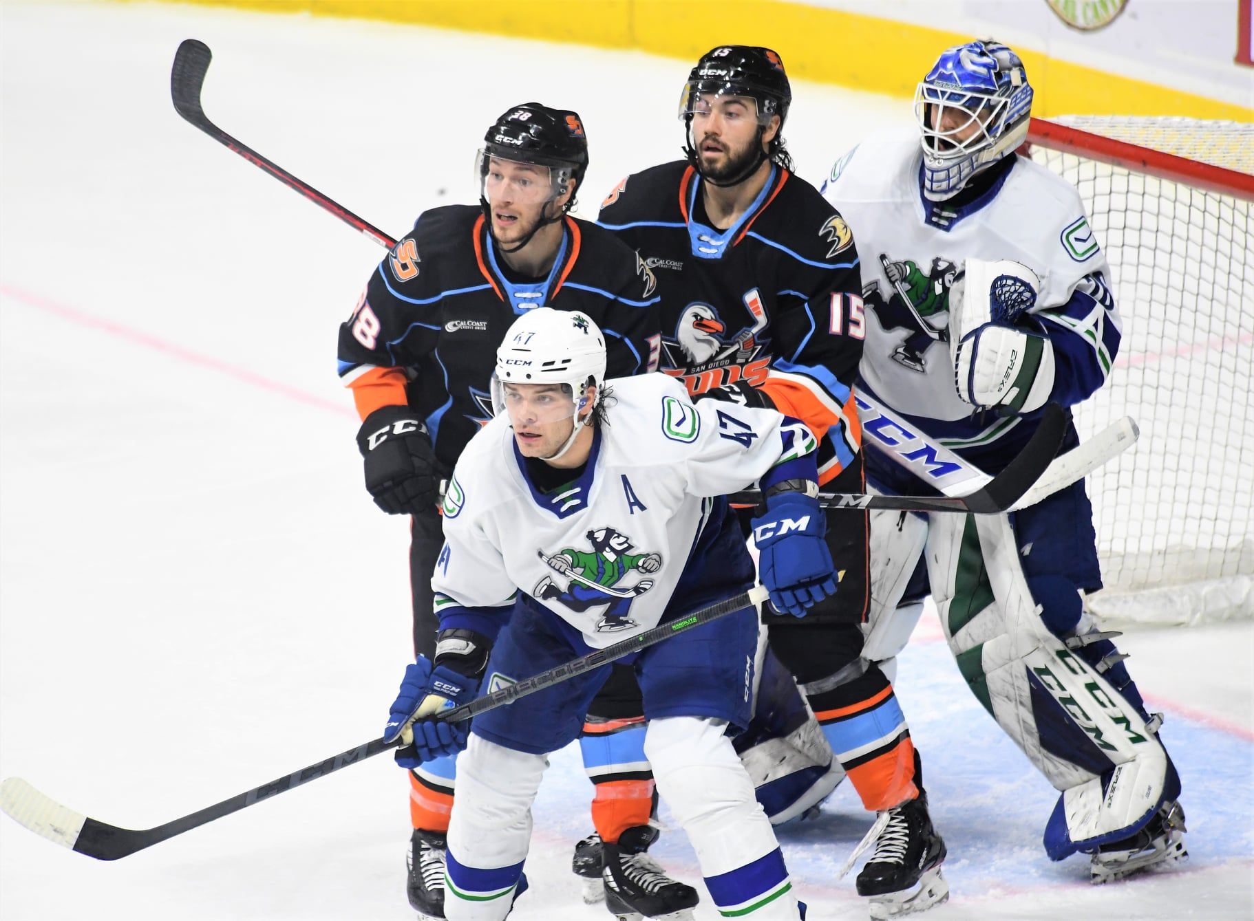 San Diego Gulls To Host Hockey Fights Cancer Presented By California Coast  Credit Union Saturday, Apr. 2