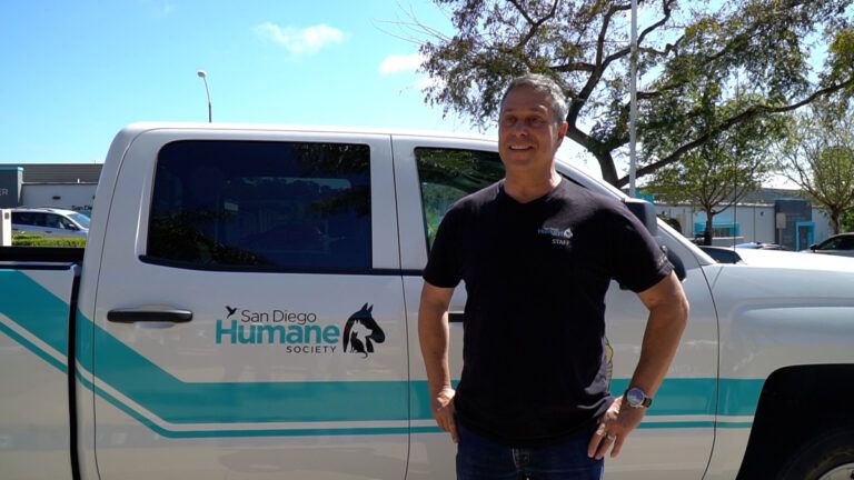 Animal advocate takes support to Poland