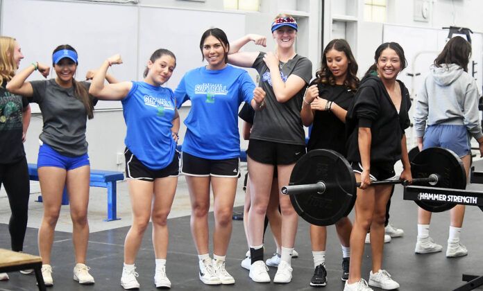 web.ELsoftball_0418