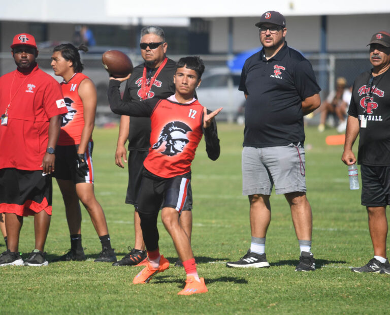 Not just a passing fancy