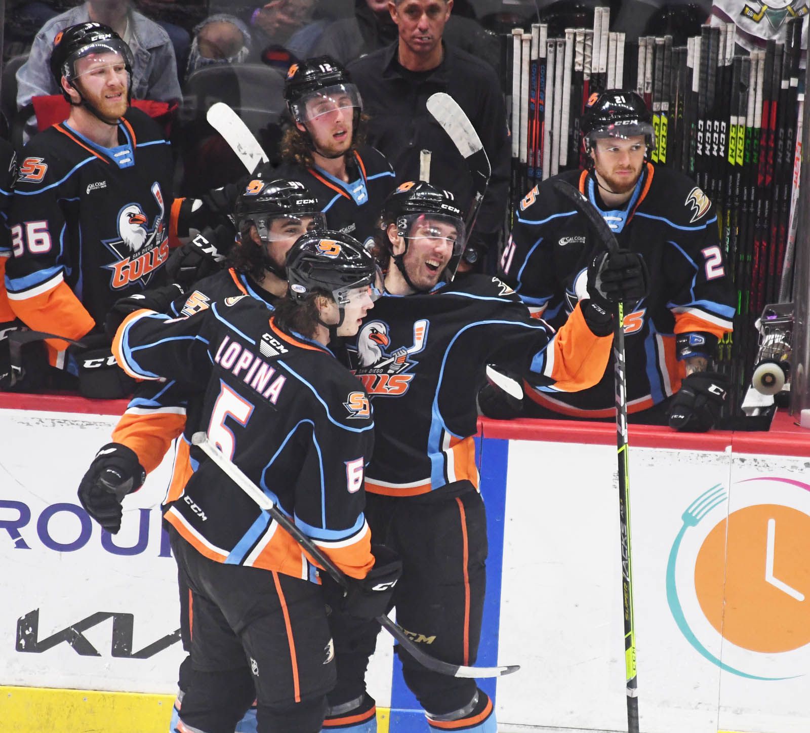 Team  San Diego Gulls