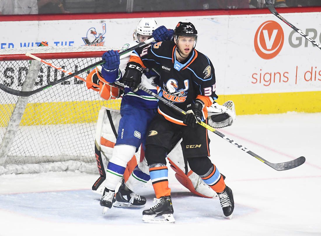 Gulls host first Mexican Heritage Night as hockey expands its