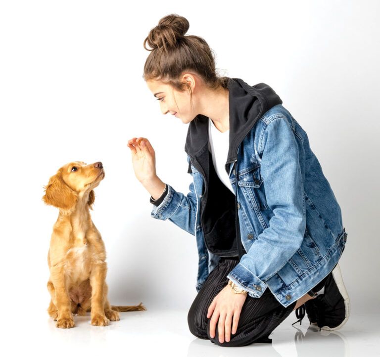 Pet experts advise avoiding table scraps