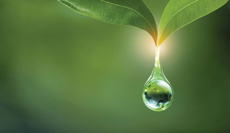 Water scholars awarded