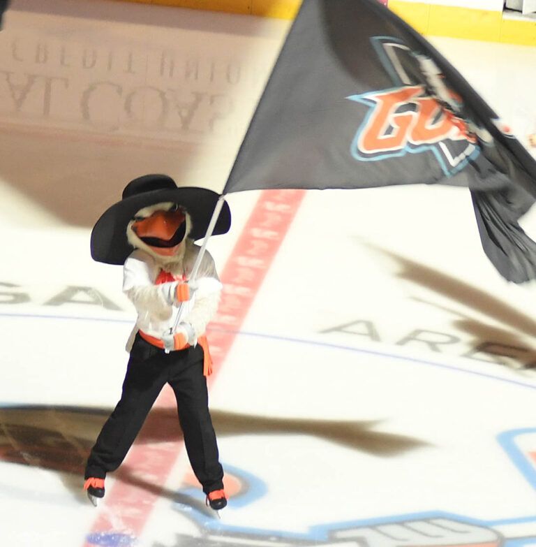 Gulls host first Mexican Heritage Night as hockey expands its borders