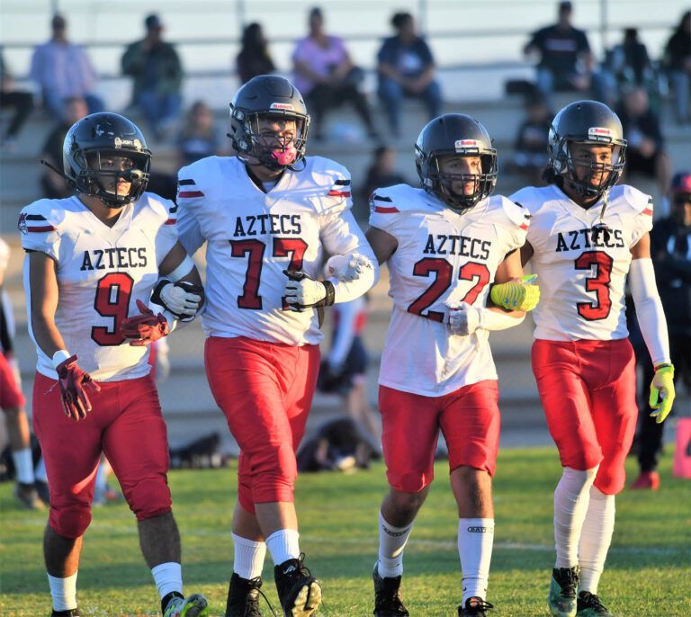 South County represented by eight teams in 11-man football playoffs