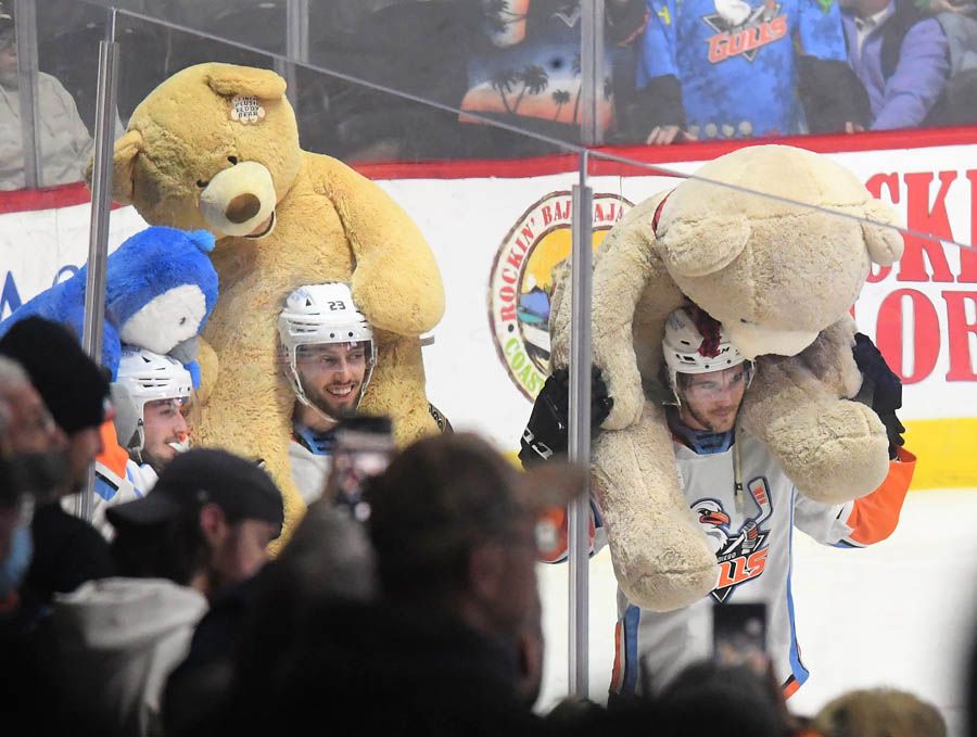 Annual Teddy Bear Toss breaks world record at AHL game in Hershey, Pa.