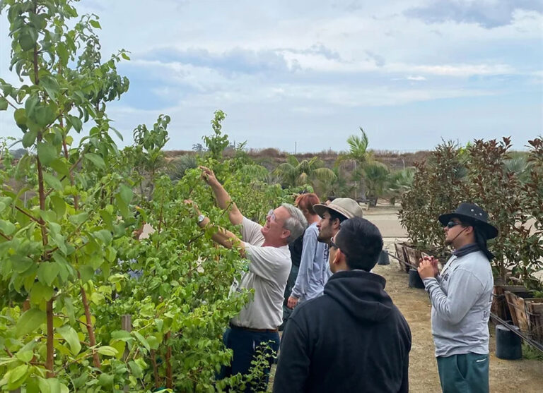 Non-profit to provide paid training for green workforce