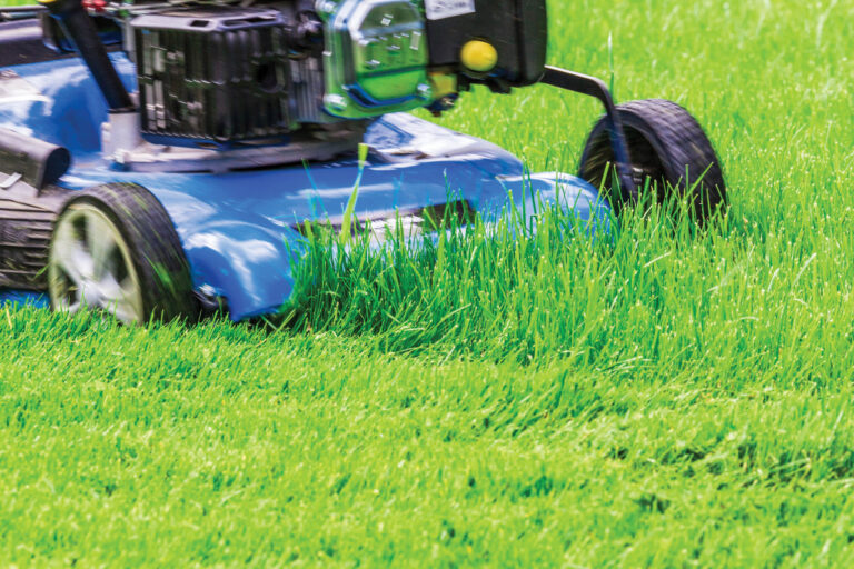 Landscape professionals encouraged to test zero-emission tools