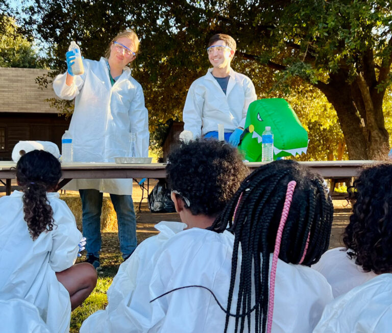 Pinwheel sales to provide  funding for foster youth